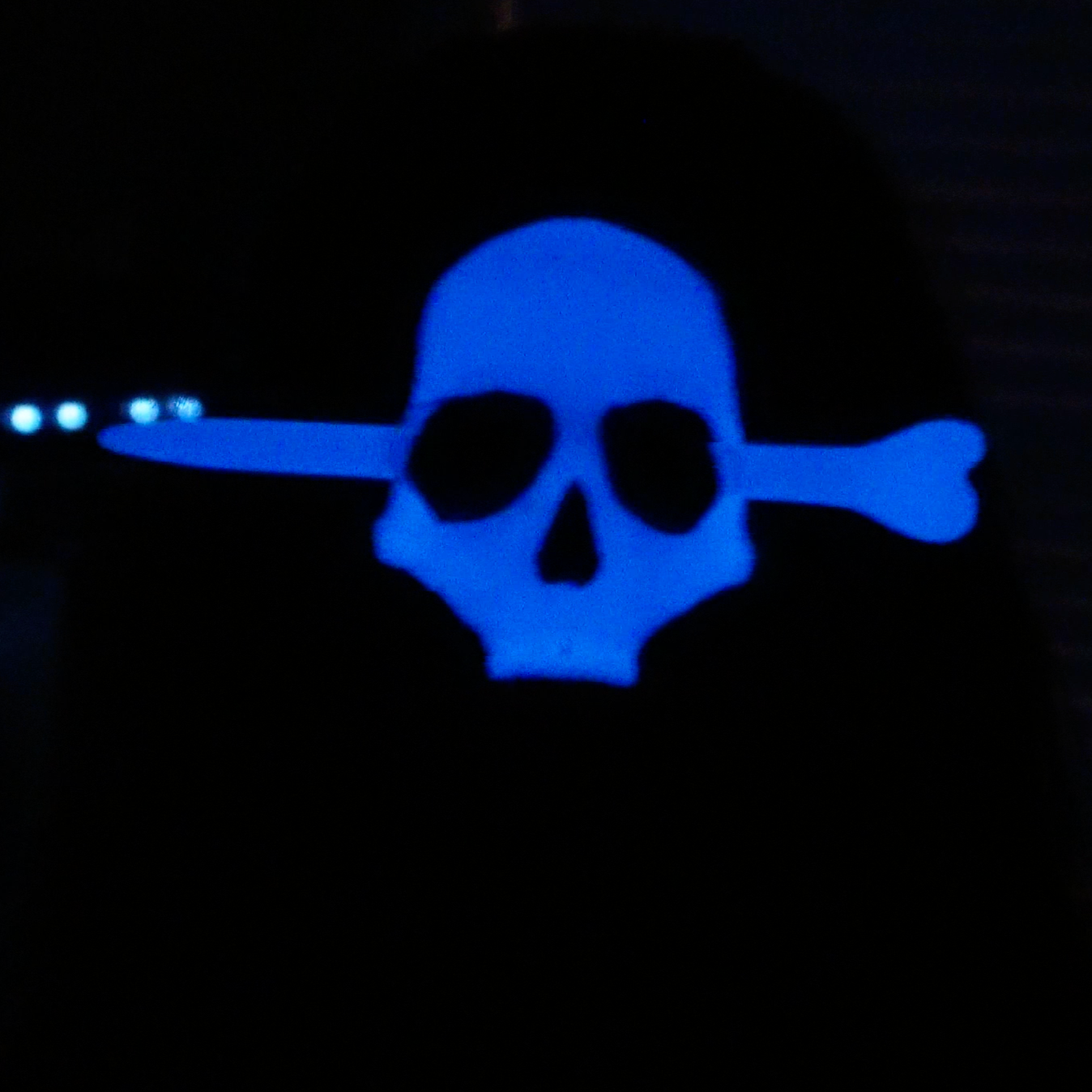 Skull Hair Pin